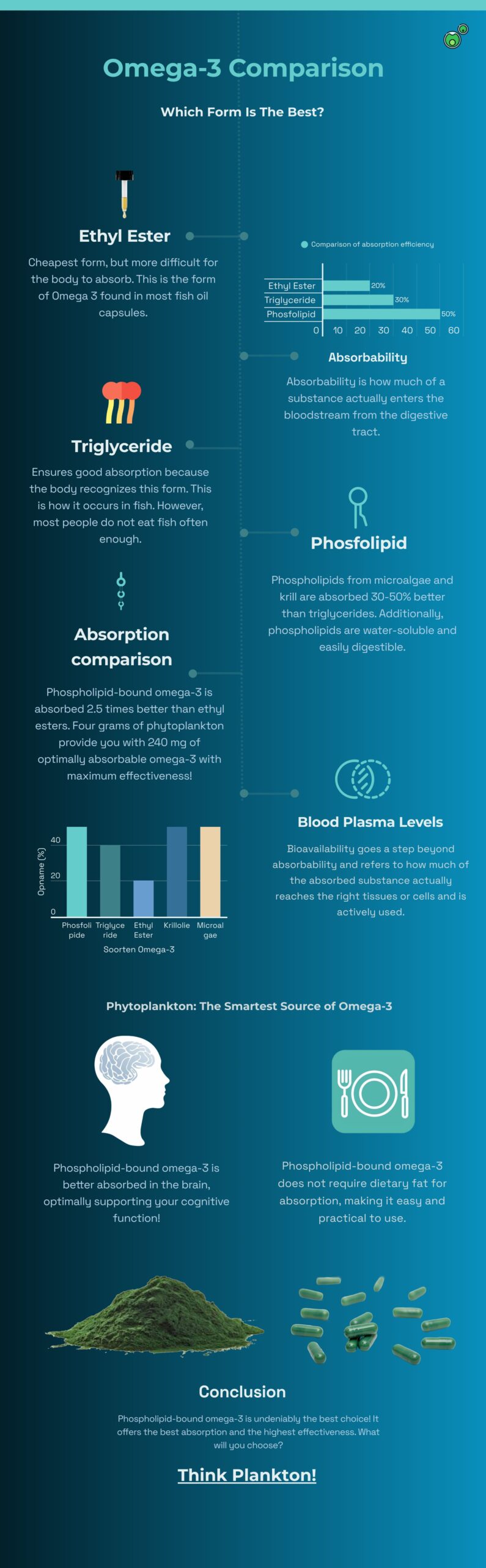 infographic marine phytoplankton